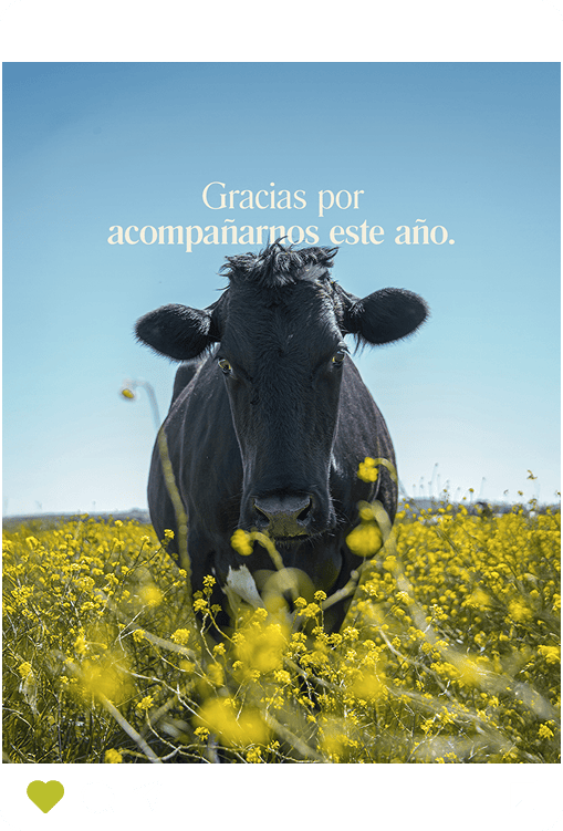 Santo Padre Instagram