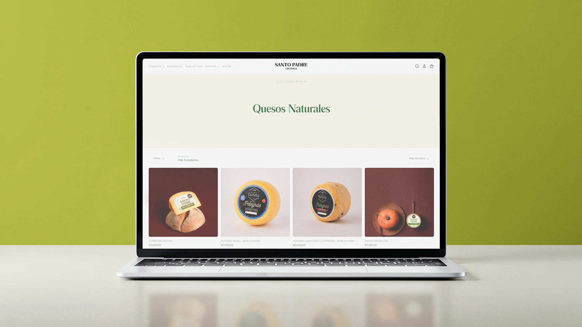 Santo Padre Sitio Web